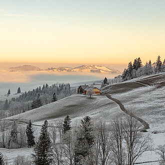 Schneearme Winterlandschaft