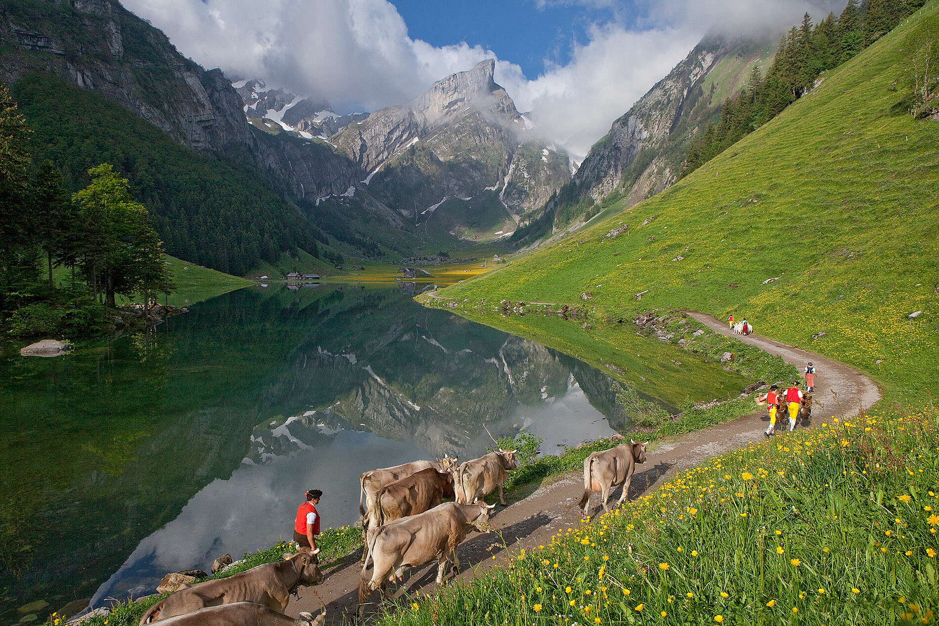 Die schönsten Panoramen der Schweiz s-l400.jpg