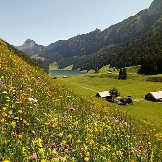 Sämtisersee im Frühling