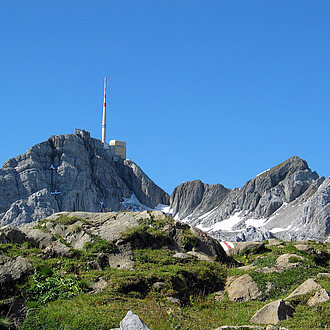 Blick zum Säntis