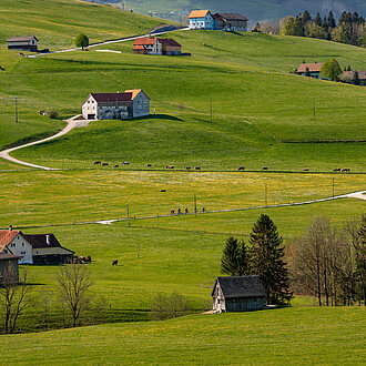 Streusiedlung Appenzell mit Biker