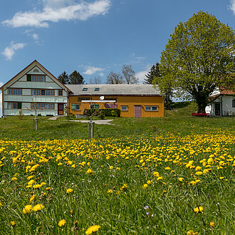 Lehnkapelle im Frühling mit den «Sonnwendlig»