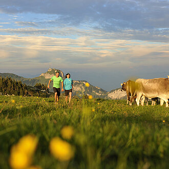 Wandern auf dem Alp Sigel