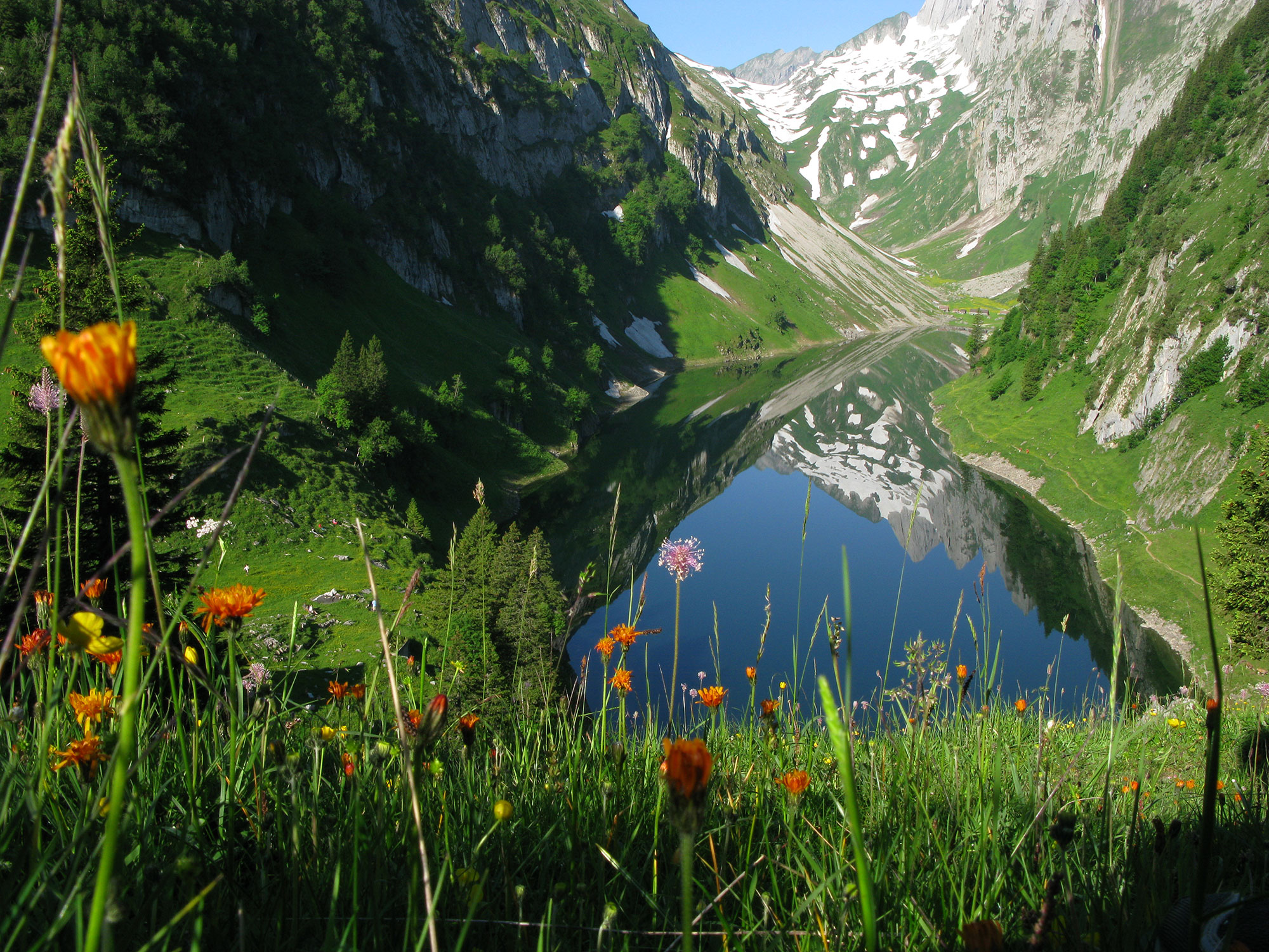 Сантис Швейцария