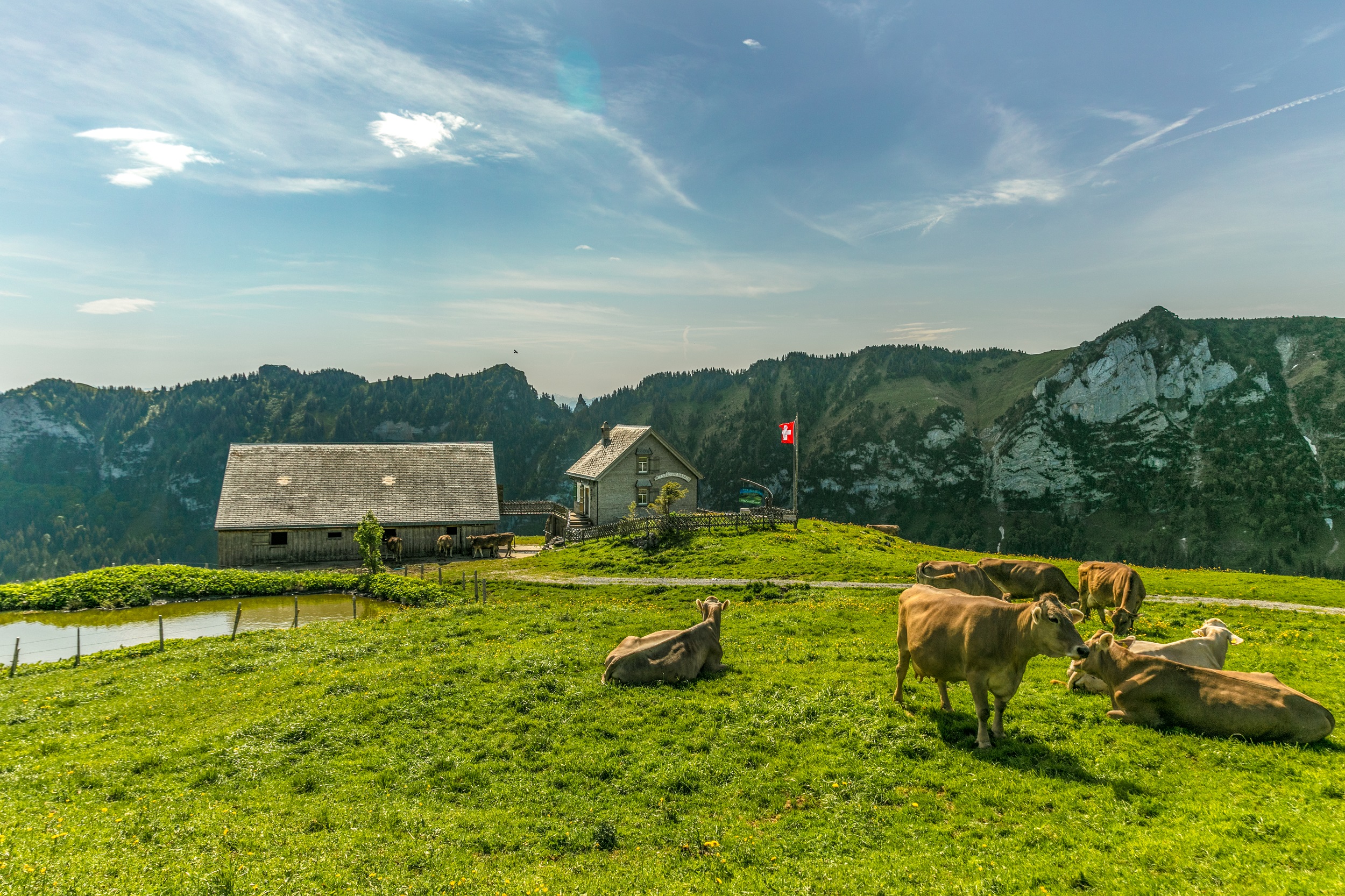 Alp Sigel Hasenplatten : Appenzellerland Tourismus
