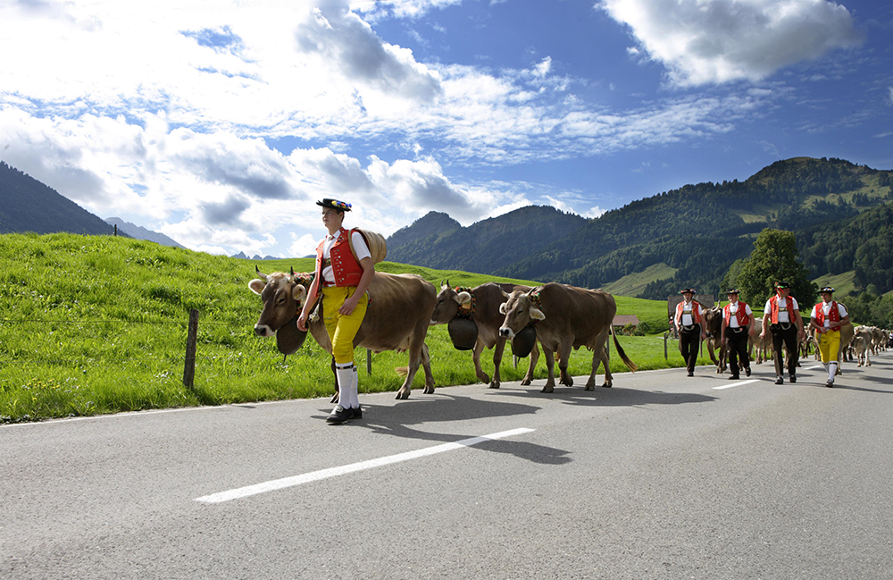 Alpfahrt Appenzell | Landwirt: Peter Mazenauer, Gonten 